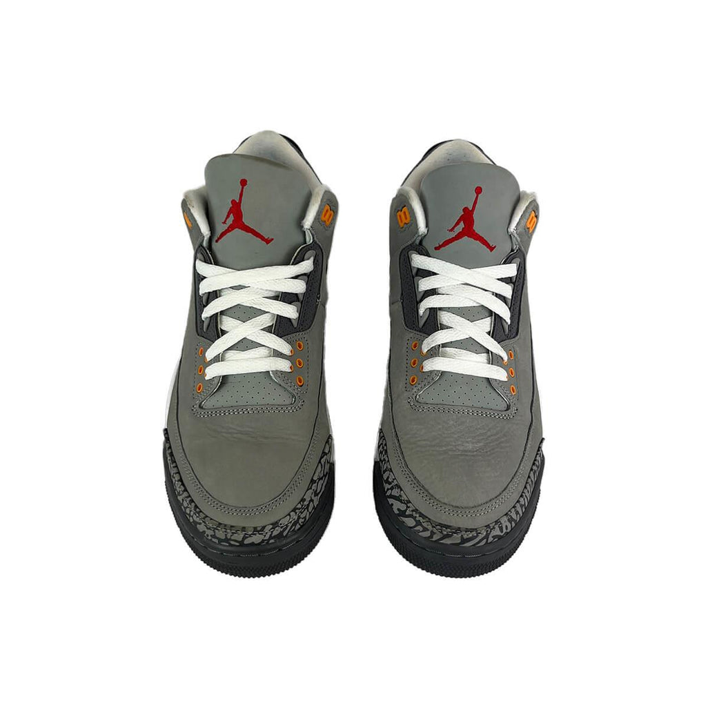 Air Jordan 3 Retro Cool Grey (2021) - 2