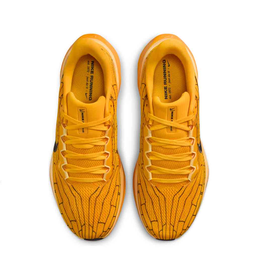 Nike Air Zoom Pegasus 41 LV8 Modern Mayfly Pack