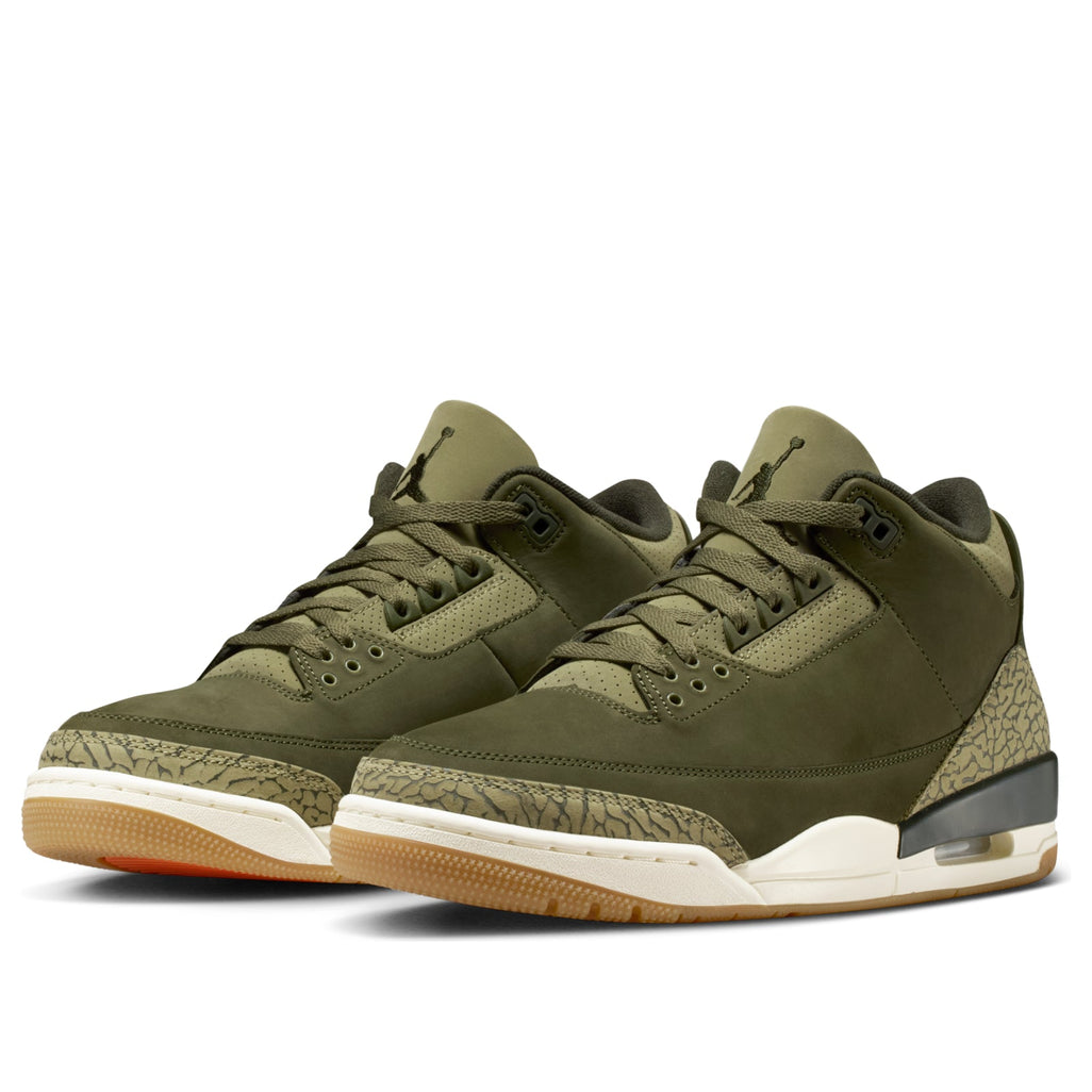 Air Jordan 3 Retro Family Affair