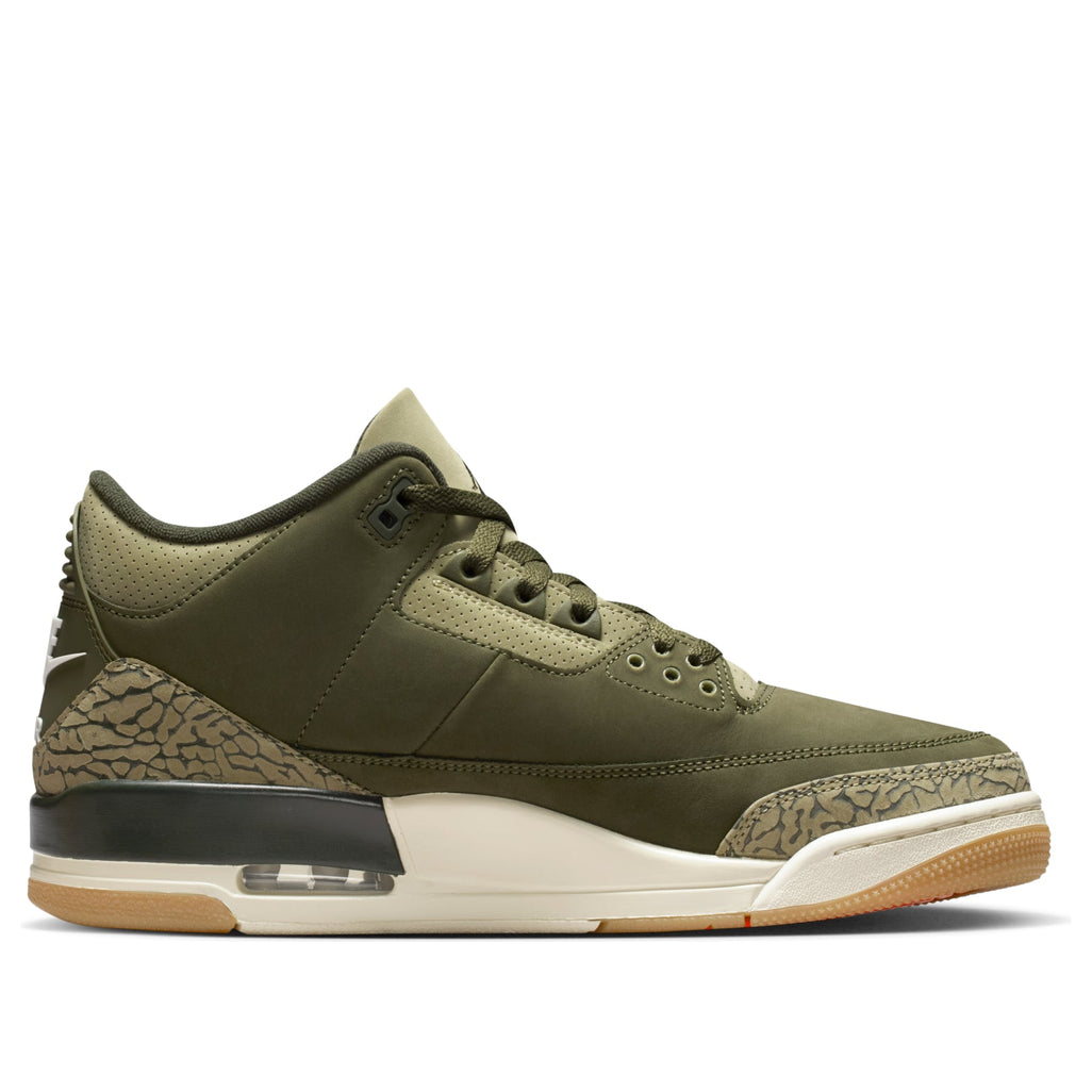 Air Jordan 3 Retro Family Affair